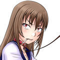 のざらし