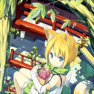 こけっち(もげた:nacho_cry:)