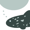 coelacanth